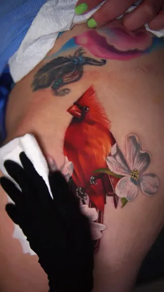 Flower, Animal, Nature