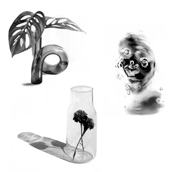 plantsnpokes