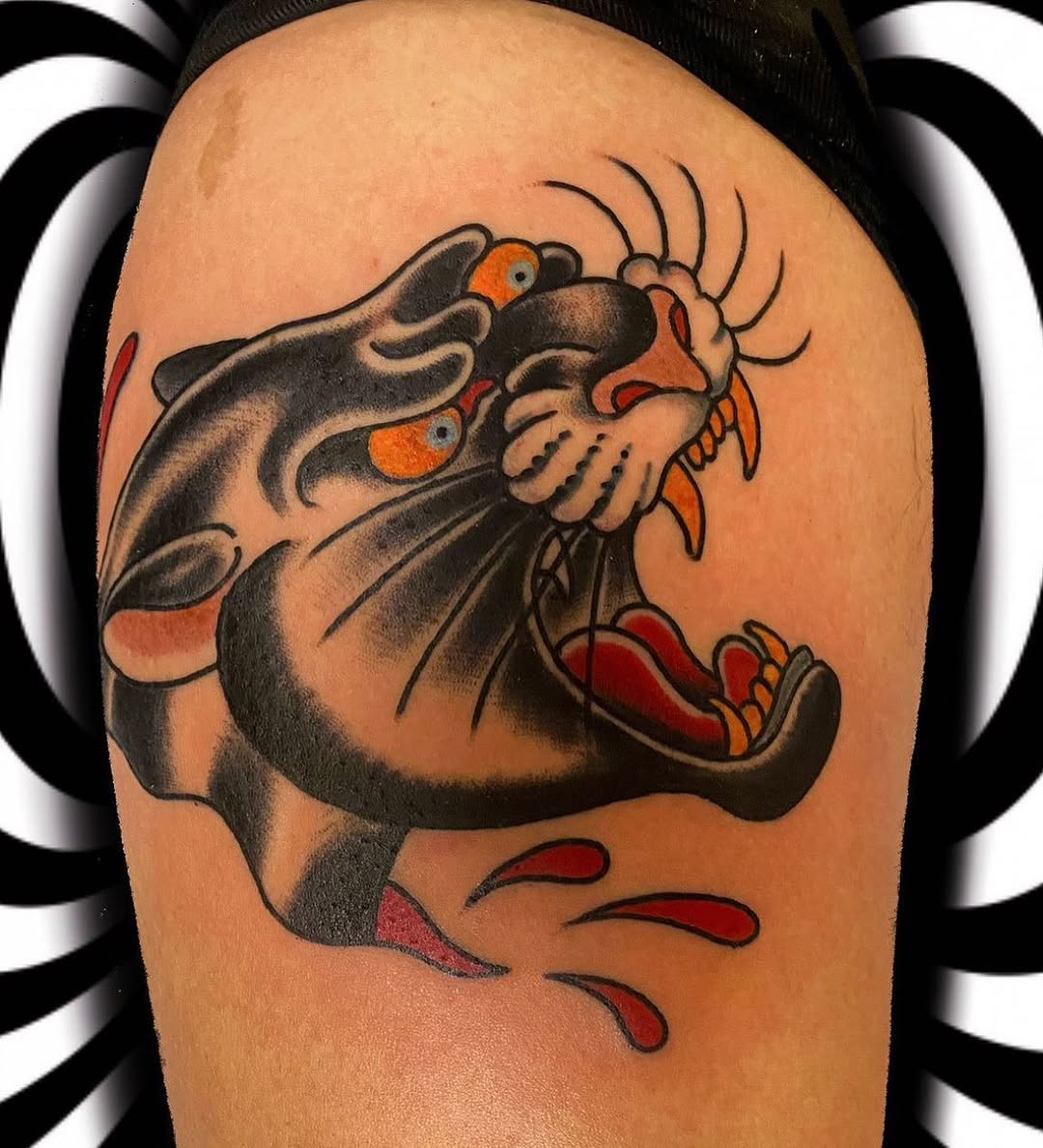 Tiger, Animal