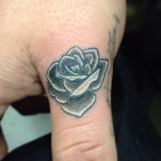 Flower, Rose