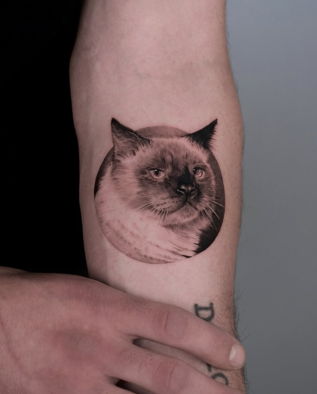jankyjake_tattoos