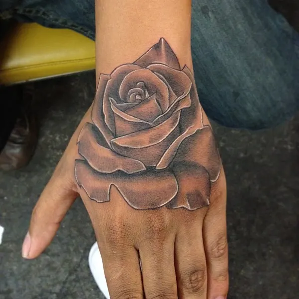 Flower, Rose