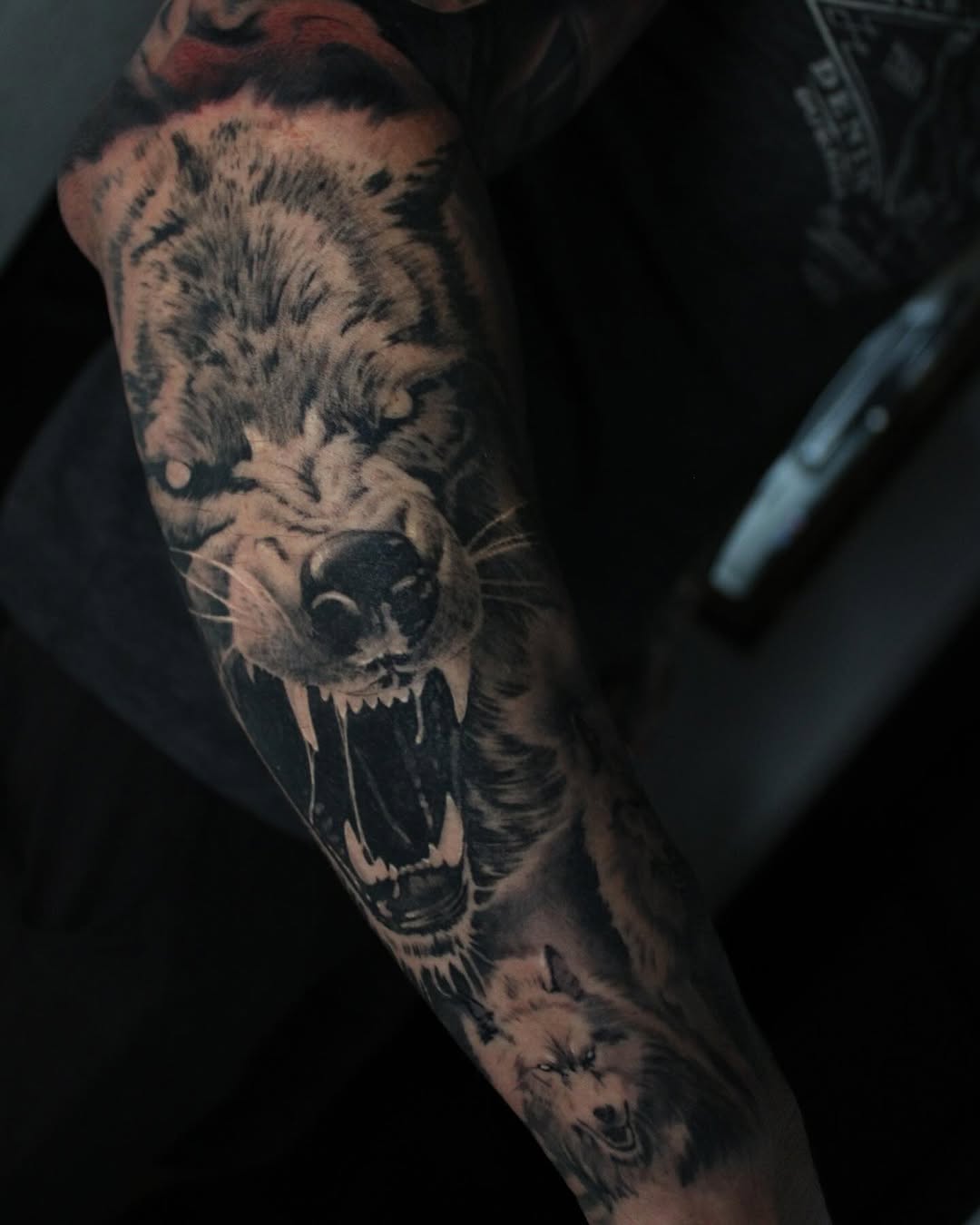Tiger, Animal