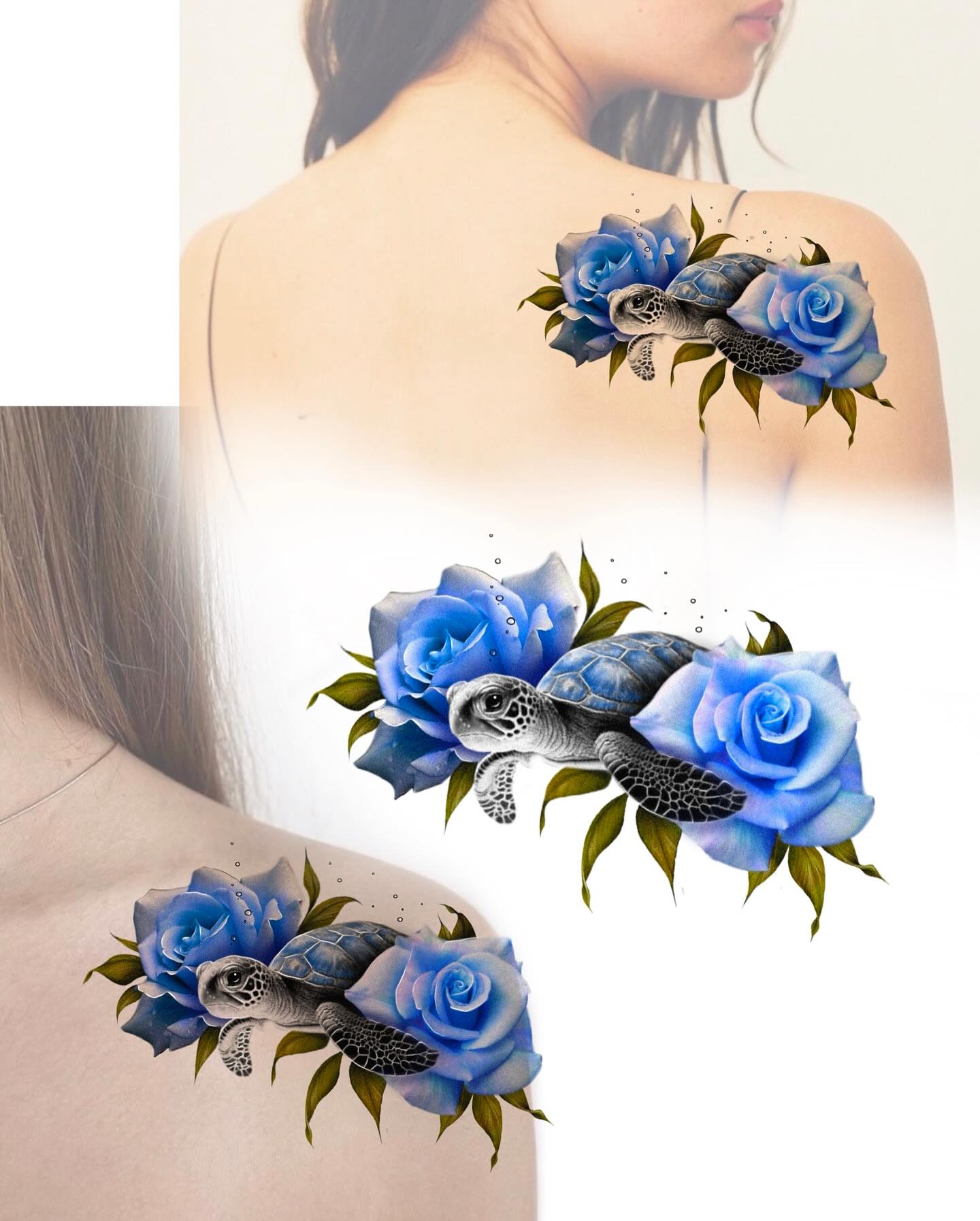 Flower, Rose, Nature