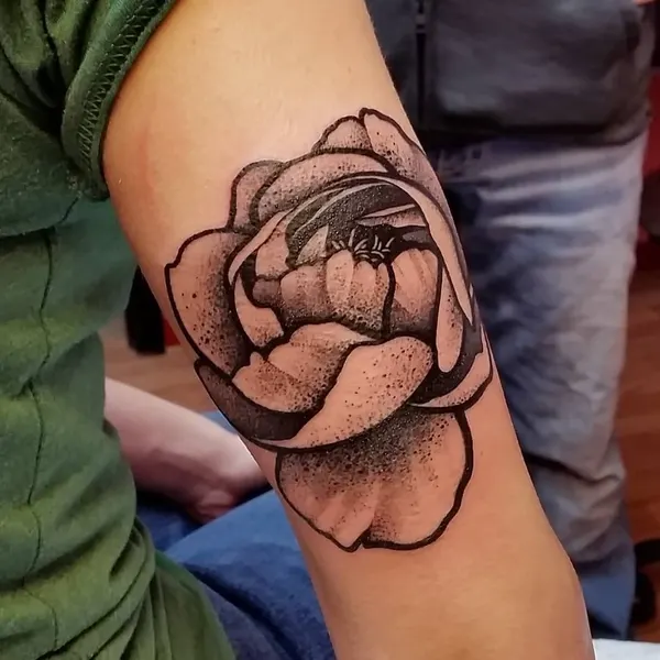 Flower, Rose