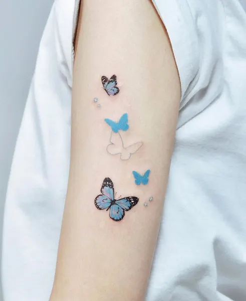 Nature, Animal