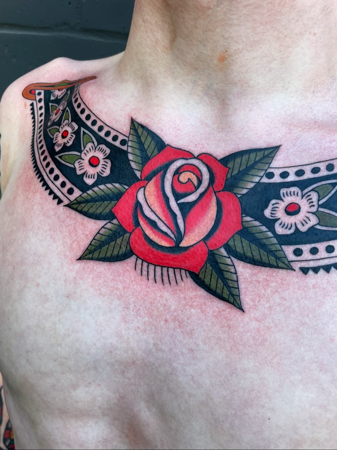 Flower, Nature, Rose