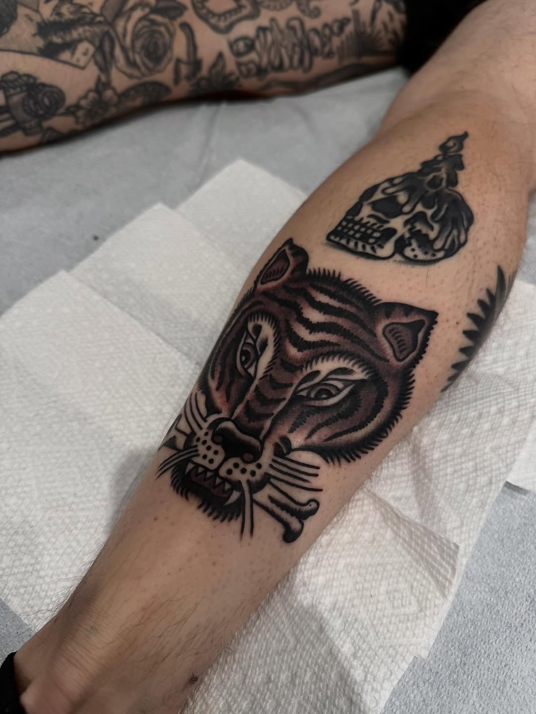 Tiger