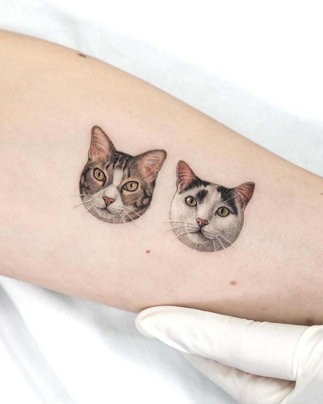 dorok.tattoo