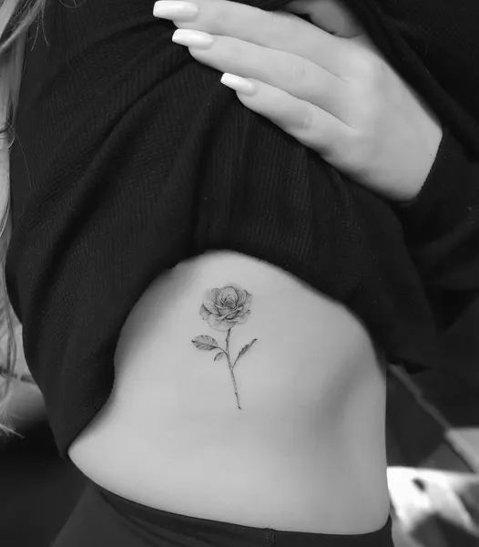 Flower, Rose