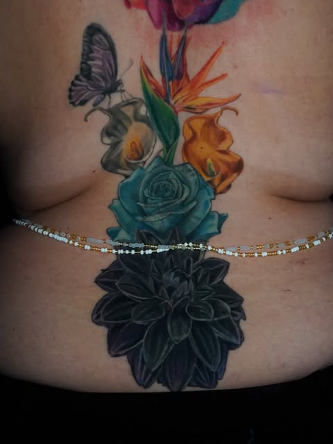 Flower, Nature, Rose
