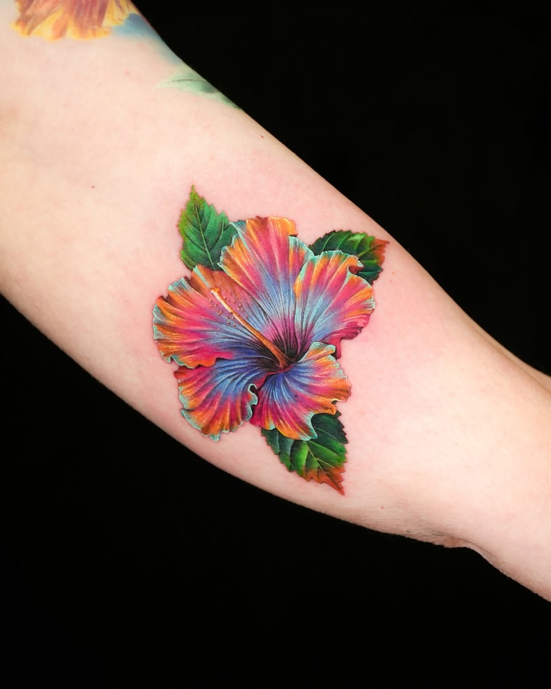 Flower, Nature