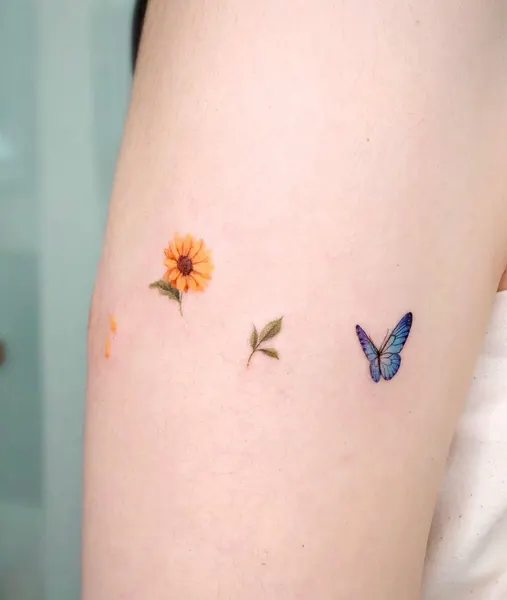Flower, Animal, Nature