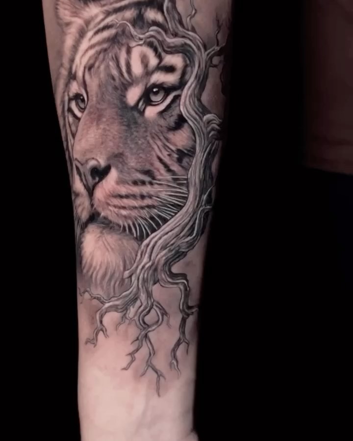 Tiger