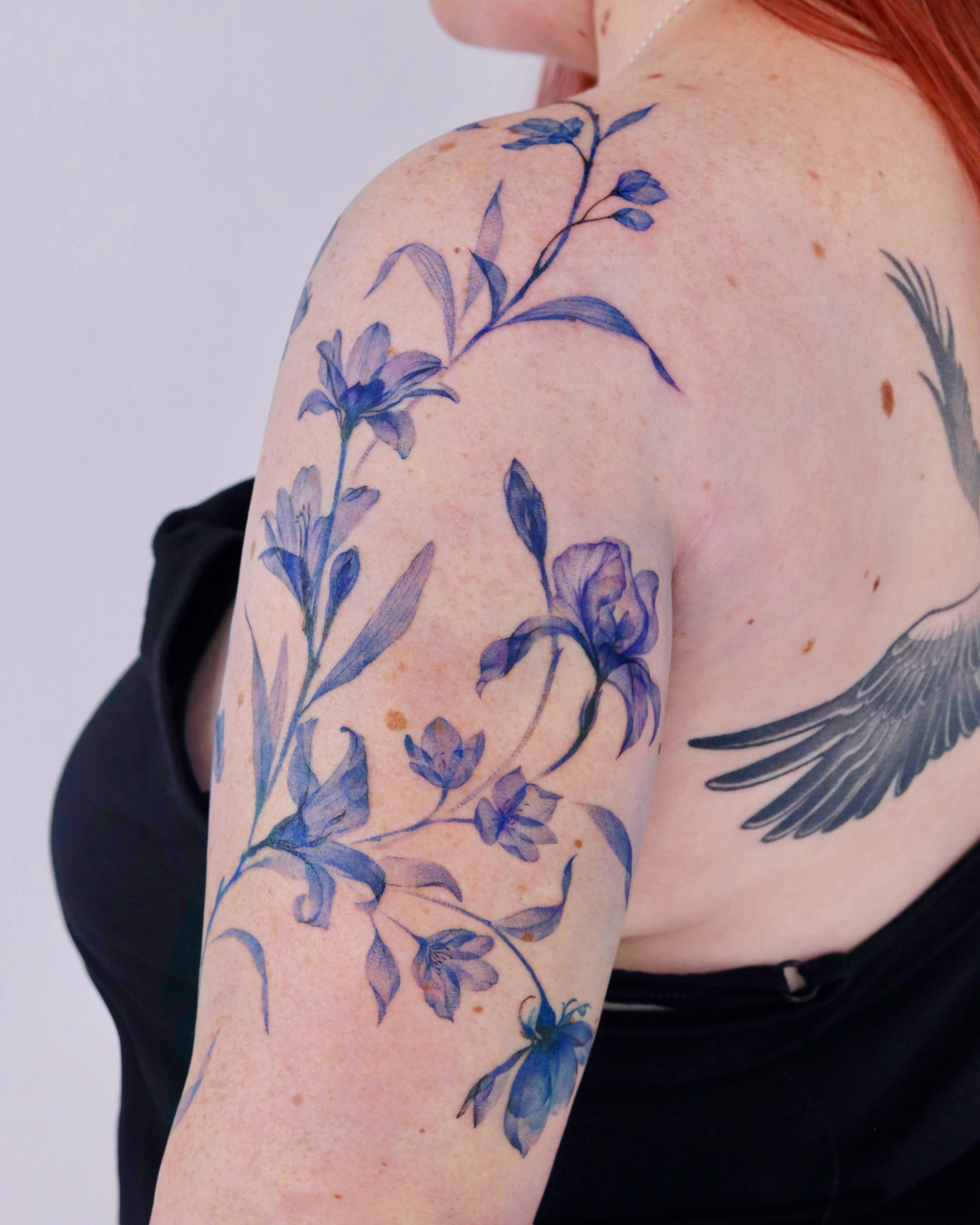 Rose, Flower