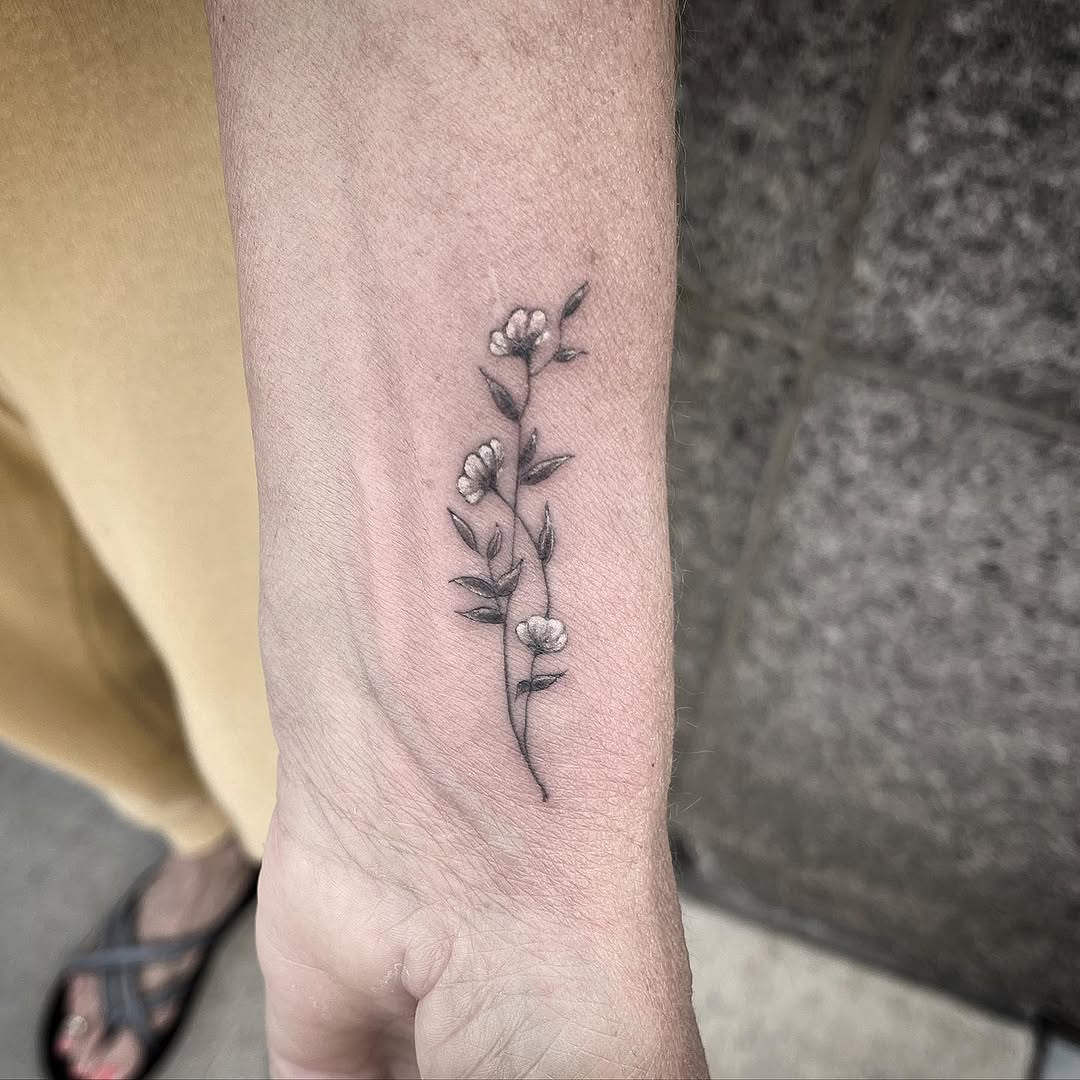 Flower, Rose