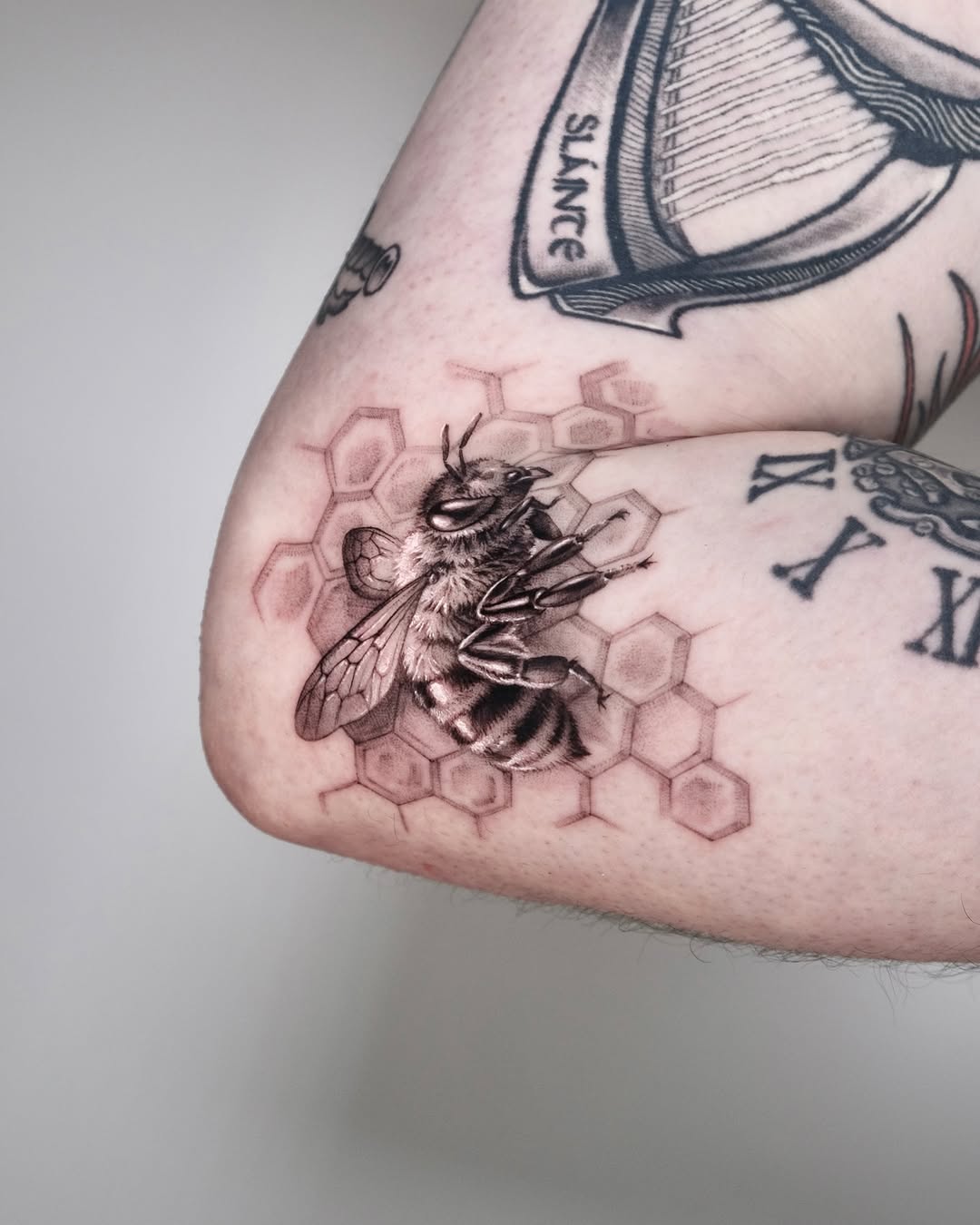 40.tatt