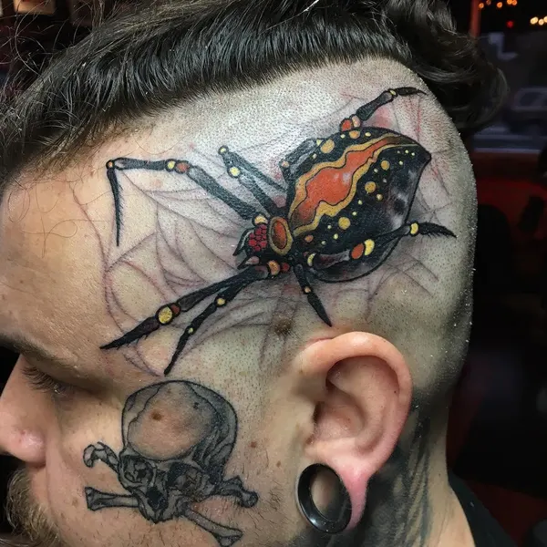 Animal
