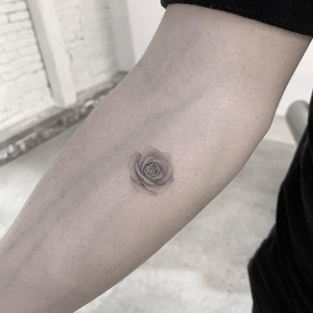 Flower, Rose