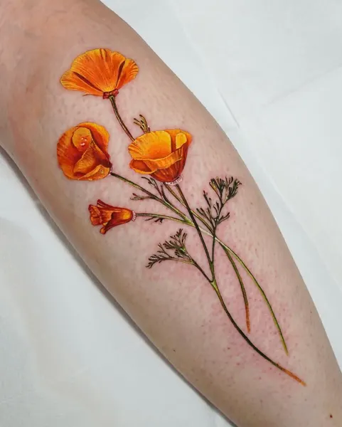 Flower, Rose, 양귀비