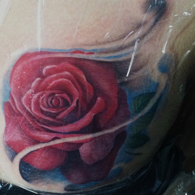 Flower, Rose