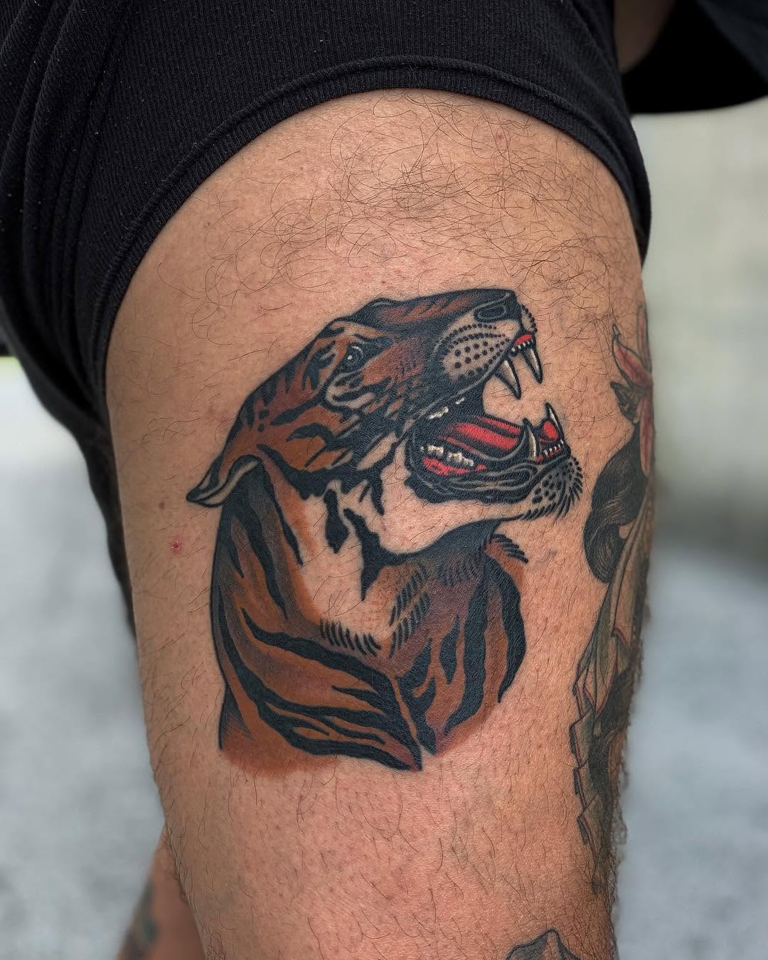 Tiger