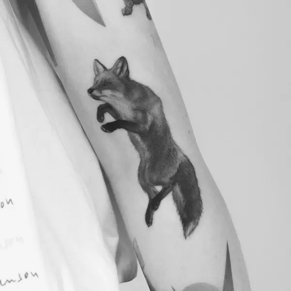 Animal, 여우