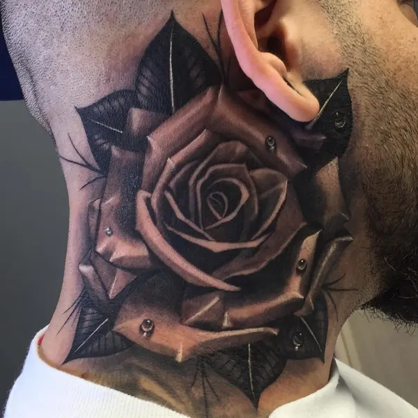 Flower, Rose, Nature
