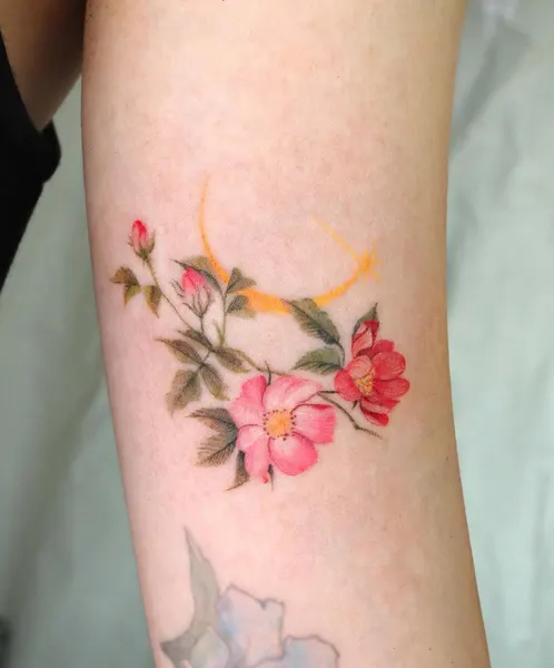 Flower, Rose