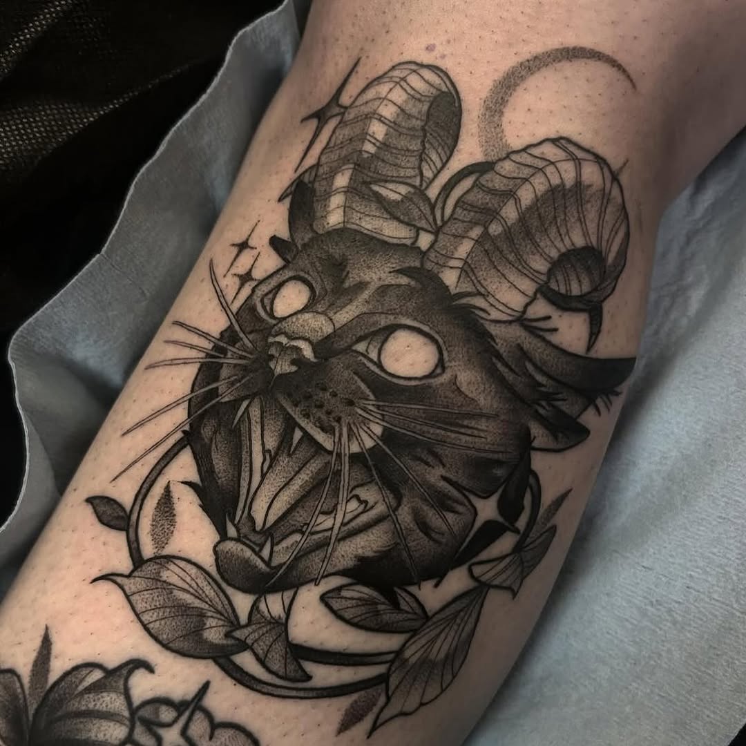 sarastigmata