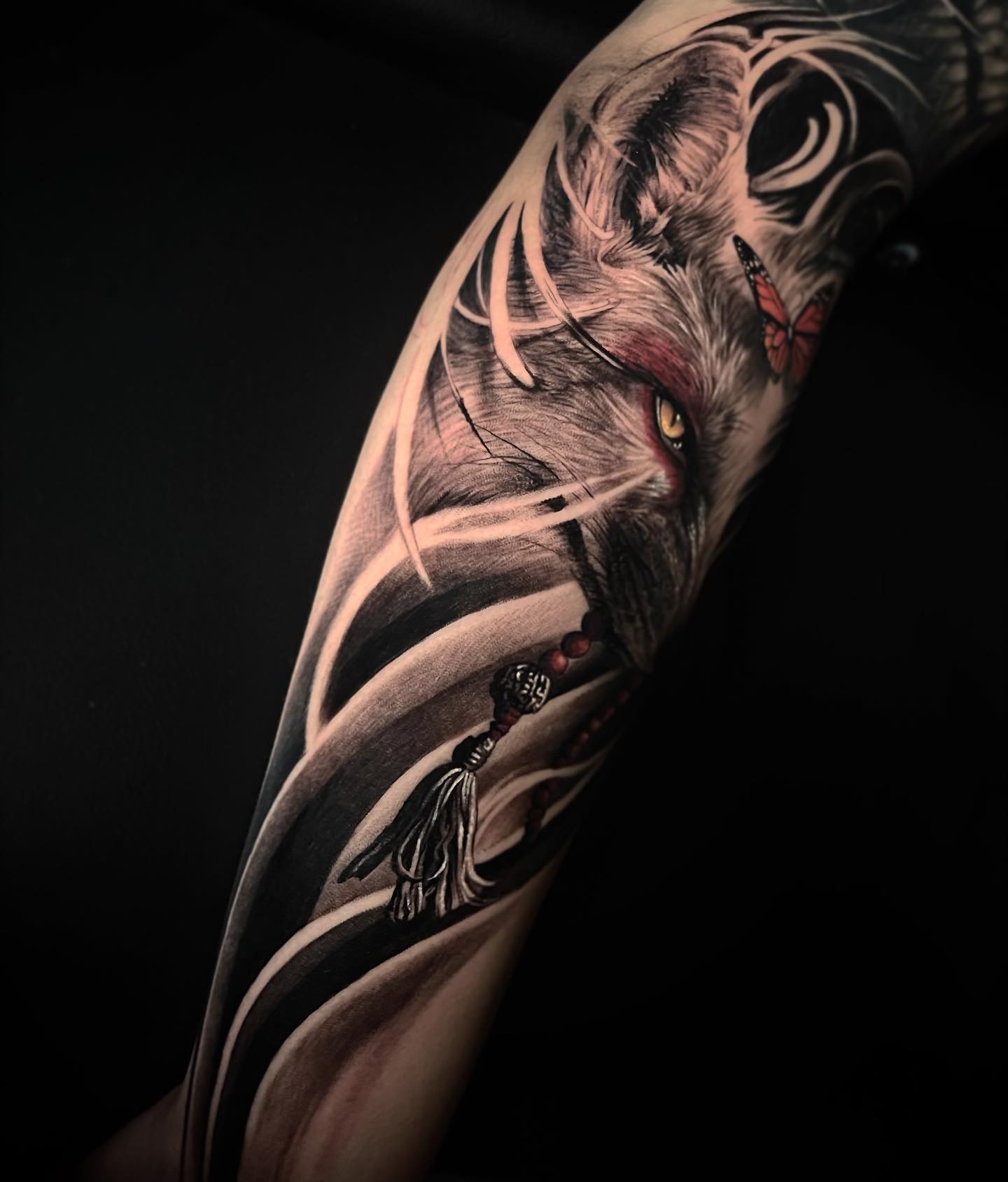 Animal