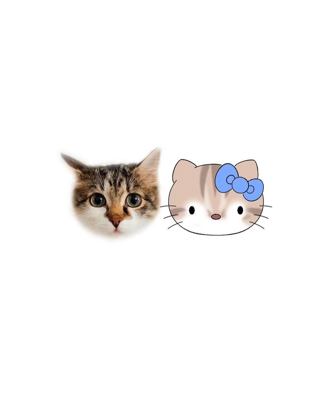 tatti_seoul