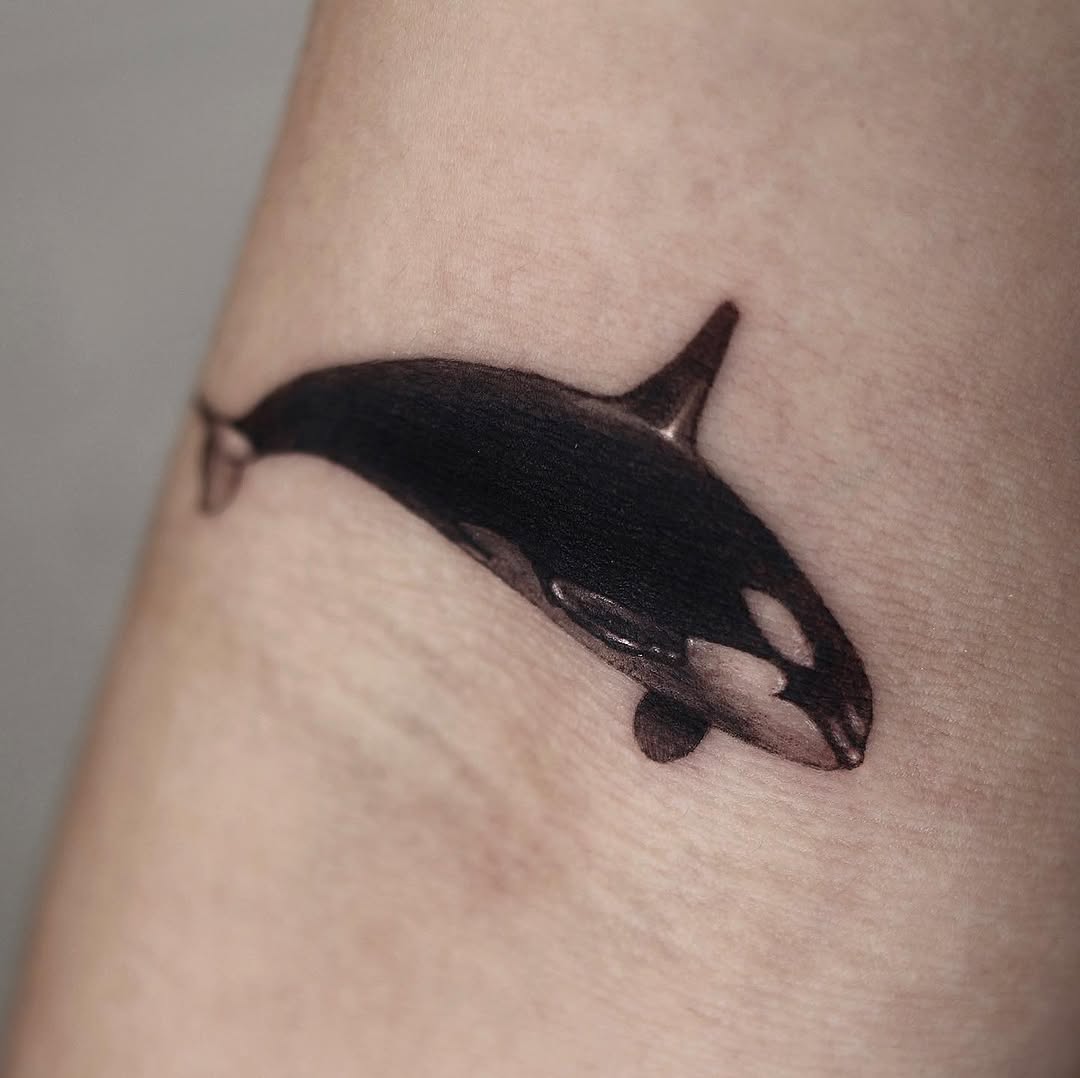 40.tatt