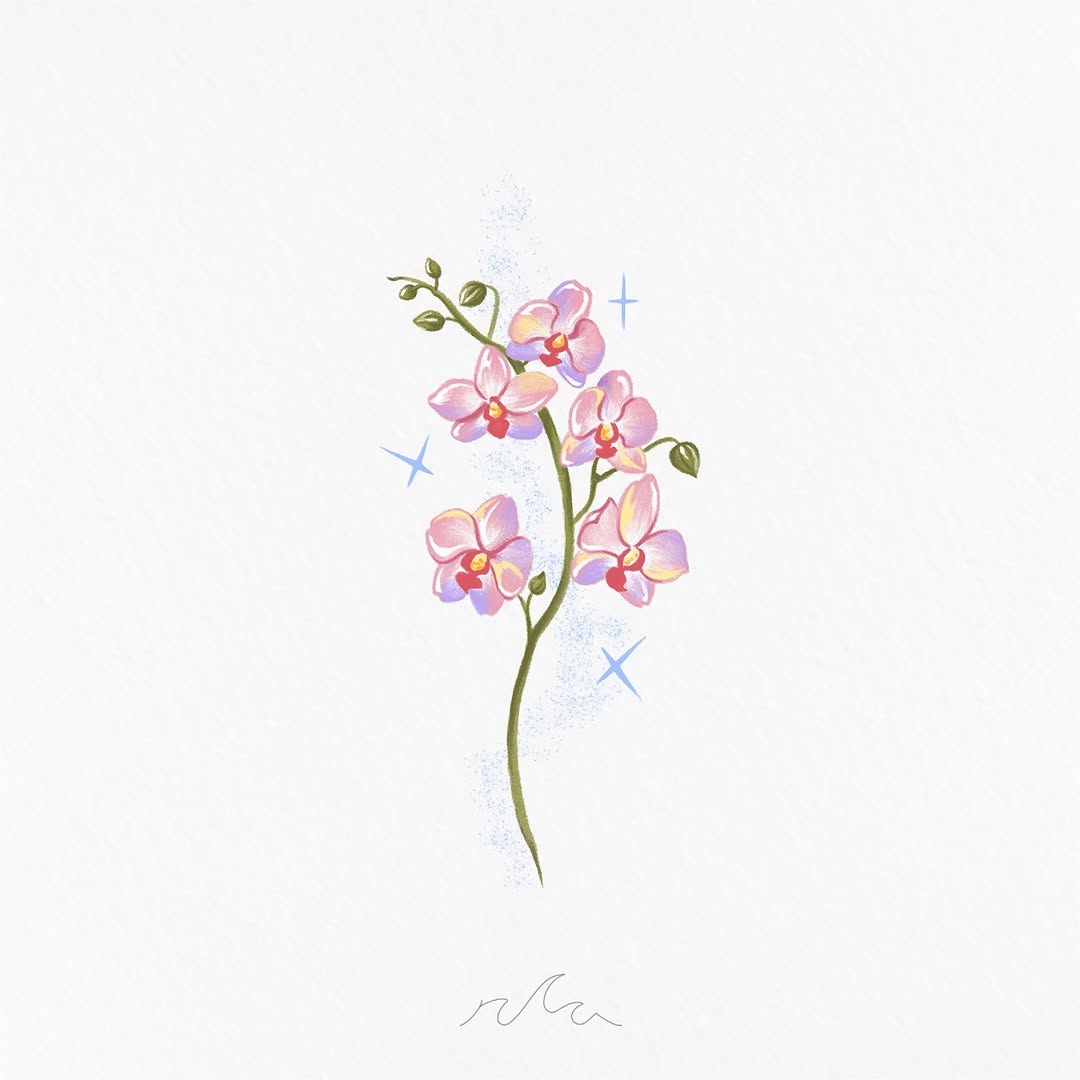 Flower, Nature