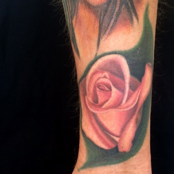 Flower, Rose
