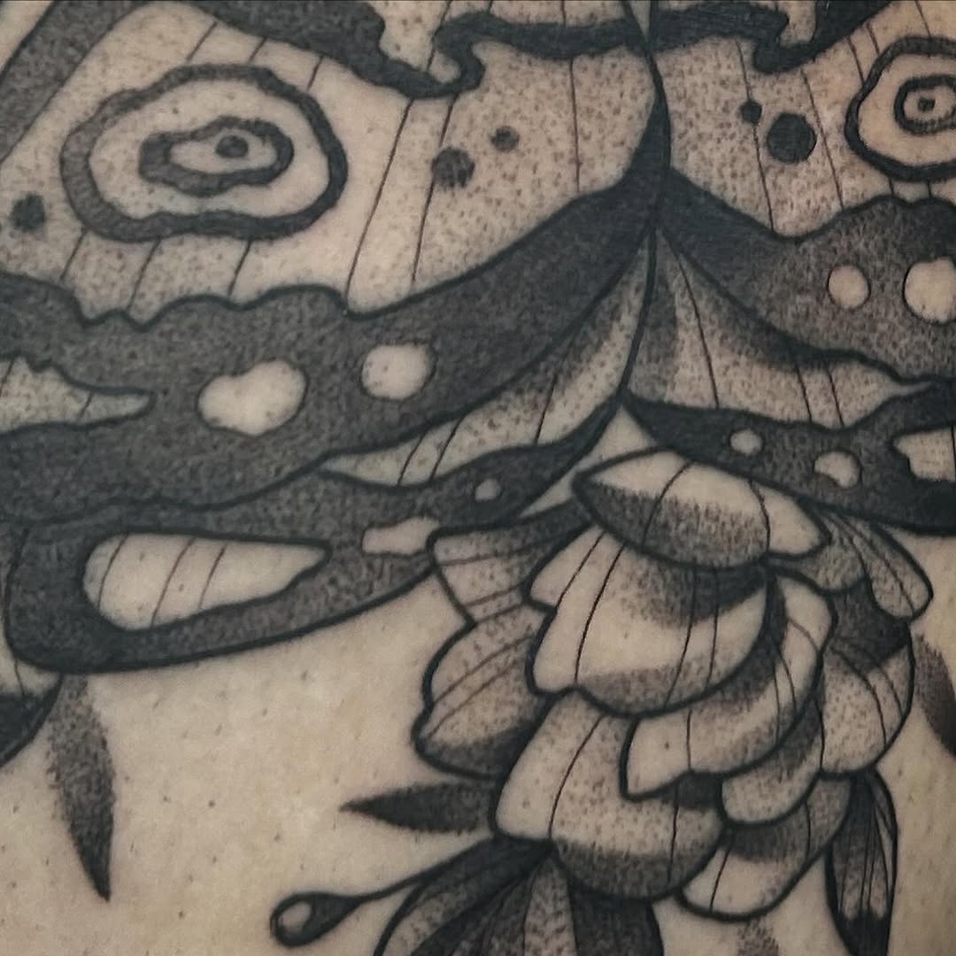 sarastigmata