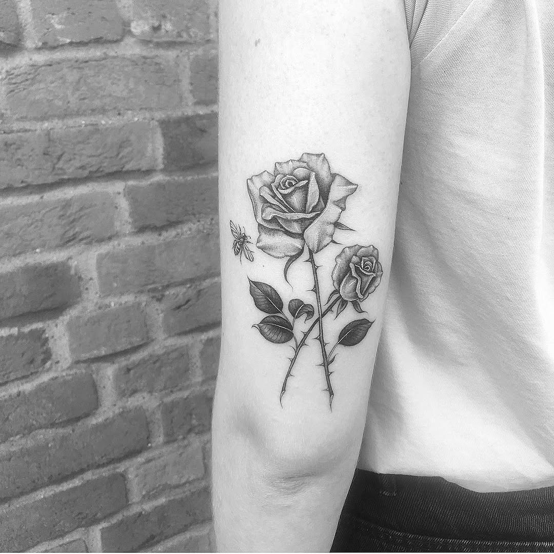 Flower, Rose