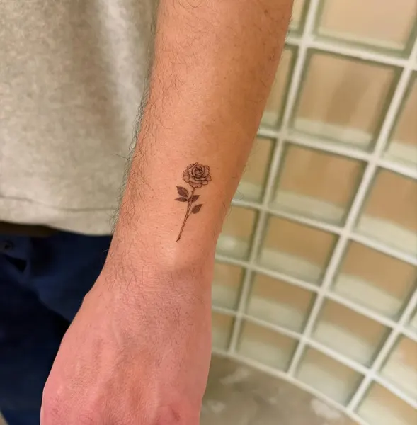 Flower, Rose