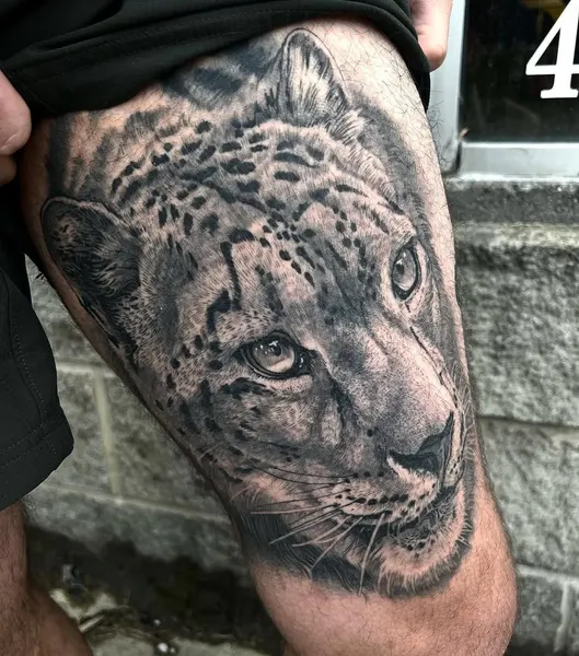 Animal