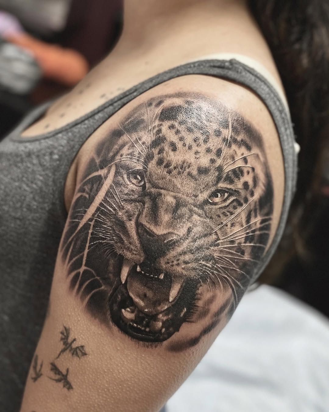 Tiger, Animal