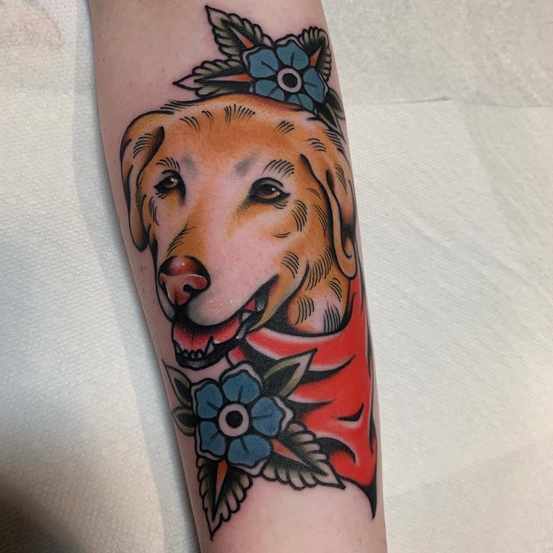 Animal