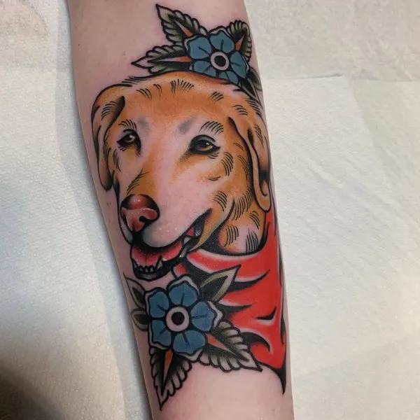 Animal