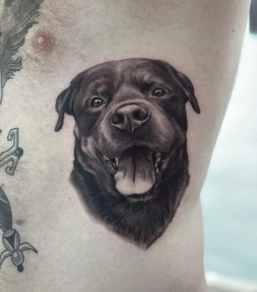 Animal