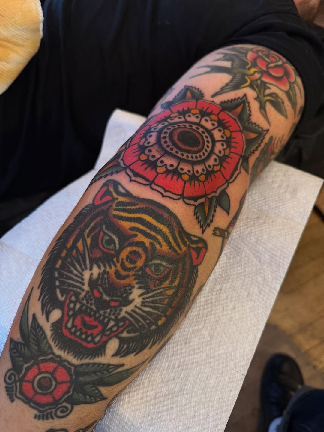 Tiger