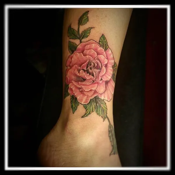 Rose, Flower