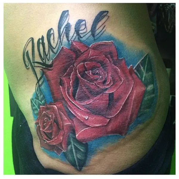 Flower, Rose