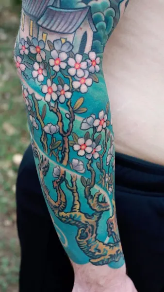 매화, Flower, 벚꽃