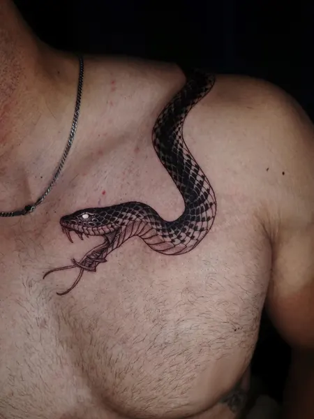 Snake, 전갈