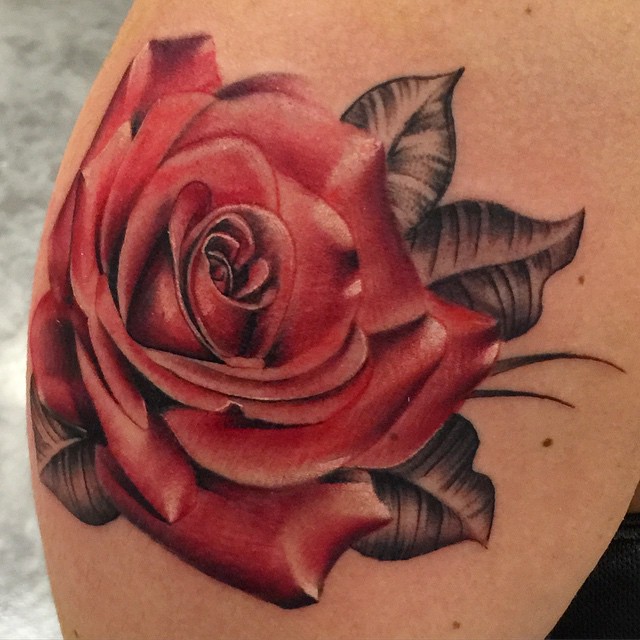 Flower, Rose