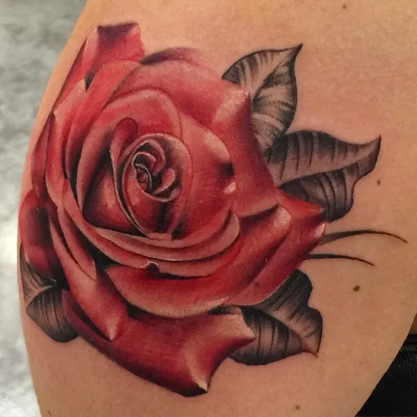 Flower, Rose